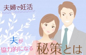 Shufeel-2